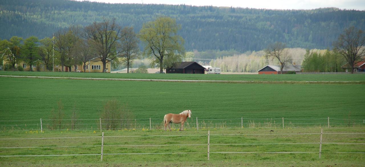 Vallby Farm Camp Örebro Extérieur photo